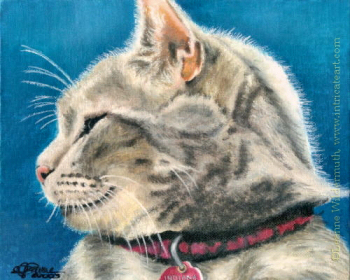 Custom Cat Portrait oil pastel painting maine coon pet memorial Indy