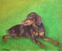 Custom Dog Portrait doberman puppy oil pastel painting Lexi