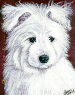 Custom Dog Portrait american eskimo miniature poodle puppy india ink painting Lexie