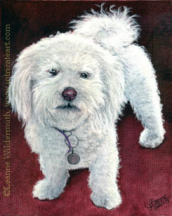 Custom Dog Portrait white bichon frise india ink painting Max
