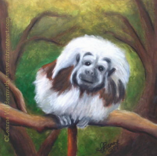 Beethoven cotton top tamarin monkey wildlife painting original art