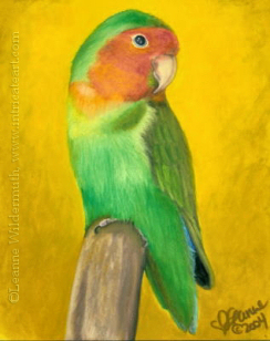 Lovebird painting oil pastel original art pet bird print