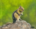 200410 Chipmunk nature portrait squirrel wildlife oil pastel painting art chippy