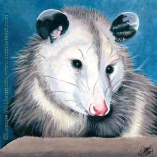 200411 Possy II possum opossum painting original pet art