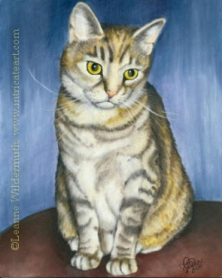 tabby cat painting pet art custom oil portrait