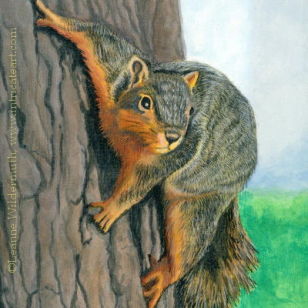 200413 Squirrely brown squirrel wildlife nature art painting