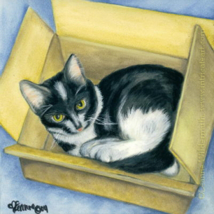 200414 Cat in a Box