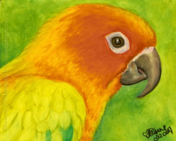 200417 Elvis II sun conure bird painting oil pastel original art portrait