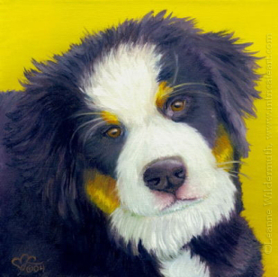 200421 Bernese Pup puppy dog oil portrait pet painting mountain dog art
