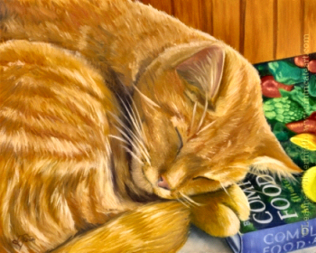 200424 Timmy orange tabby cat pet portrait painting cookbook oil art
