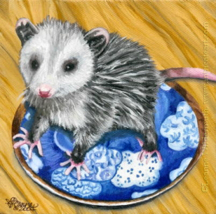 200425 Baby Possum opossum pet art oil painting