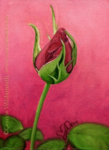 200435 Peach Rosebud flower floral oil painting