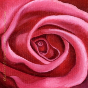 200436 First Prize pink rose flower floral oil painting art