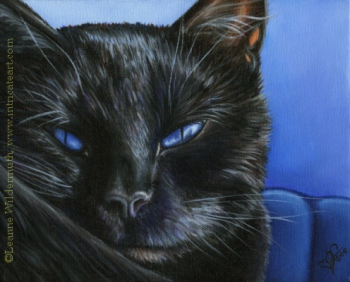 200440 black cat art oil painting portrait Blue Eyes