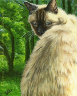 200442 Custom Cat Portrait oil painting siamese cat Asia