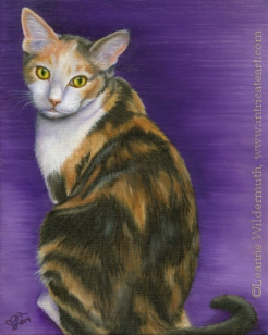 200448 Custom Cat Portrait of Baby calico pet memorial painting