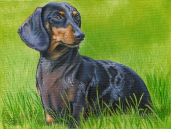 200450 Custom Dog Portrait oil painting dachshund Cleo