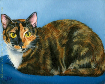 200452 Custom Cat Portrait of Carly Sue calico pet painting