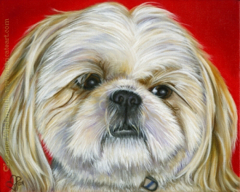 200456 Custom Dog Portrait shitzu pet painting Bailey