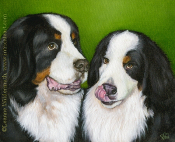 200457 Custom Dog Portrait bernese mountain dogs Barney & Bailey