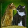 Custom Cat Portrait pet tuxedo painting abysinnian Talis Meowface