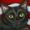 custom black pet cat oil painting portrait patriotic