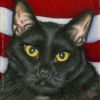 custom patriotic black cat pet portrait oil painting