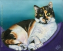 calico pet cat portrait oil painting custom art