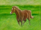 200509 Custom Horse Portrait oil painting wildlife equine Crystal