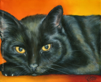 black pet cat portrait oil painting art