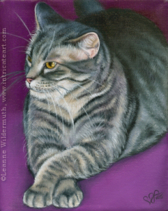 gray grey tabby pet cat painting oil portrait 