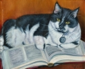custom cat portrait tuxedo reading book fat cat chubby furry painting