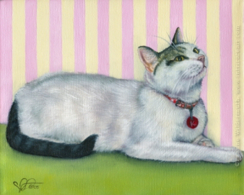 custom cat petportrait gray grey white shorthair painting