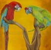 200519 Custom Bird Portrait of Thor & Oz scarlet macaw military macaw parrot bird painting