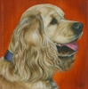 custom dog pet painting oil portrait cocker spaniel
