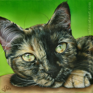 tortie tortoiseshell cat pet painting artist portrait art