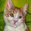 custom pet art cat painting international portrait commission orange tabby