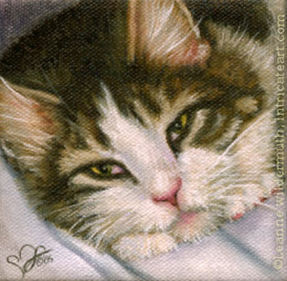 custom cat oil painting pet portrait tabby