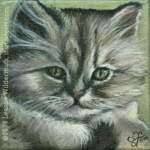 persian kitten pet painting cat portrait custom cats