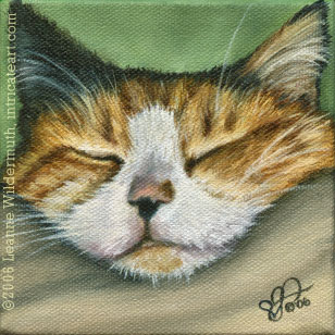 custom cat kitten portrait calico painting oil