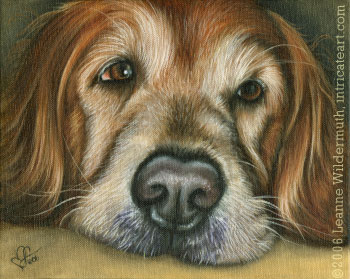 custom dog portrait pet art golden retriever painting