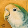 custom oil painting portrait bird lovebird original traditional realistic fine art