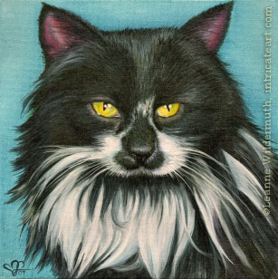 custom oil painting cat longhair tuxedo portrait original traditional realistic fine art