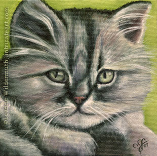custom oil painting cat kitten portrait original traditional realistic fine art