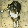 Custom Dog Portrait Tess monochromatic oil painting original traditional realistic fine art