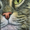 Custom Cat Portrait Momo tabby macro oil painting original traditional realistic fine art