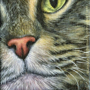 Custom Cat Portrait Momo tabby maine coon macro oil painting original traditional realistic fine art