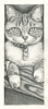 Custom Cat Portrait tabby graphite pencil drawing original traditional realistic fine art