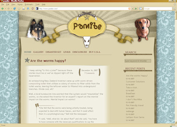 pamibe custom wordpress blog design western theme