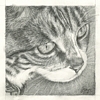 Custom Cat Portrait tabby graphite pencil drawing original traditional realistic fine art